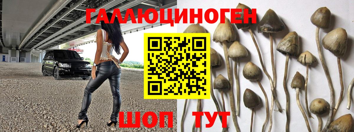 Галлюциногенные грибы Psilocybine cubensis Нижневартовск